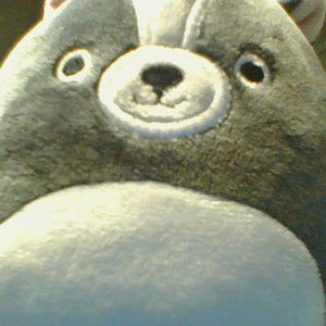 Meet your Posher, Bearwiw